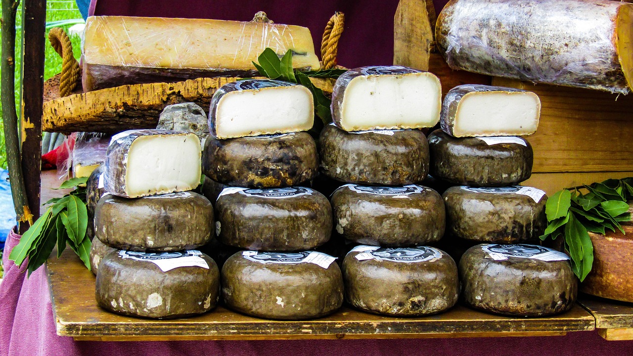 Festival del formaggio pecorino nelle Marche: eventi, degustazioni e tradizioni locali.