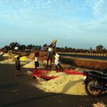 Borgo pittoresco senza traffico, con stradine tranquille e case colorate, accoglie i visitatori in un'atmosfera serena.