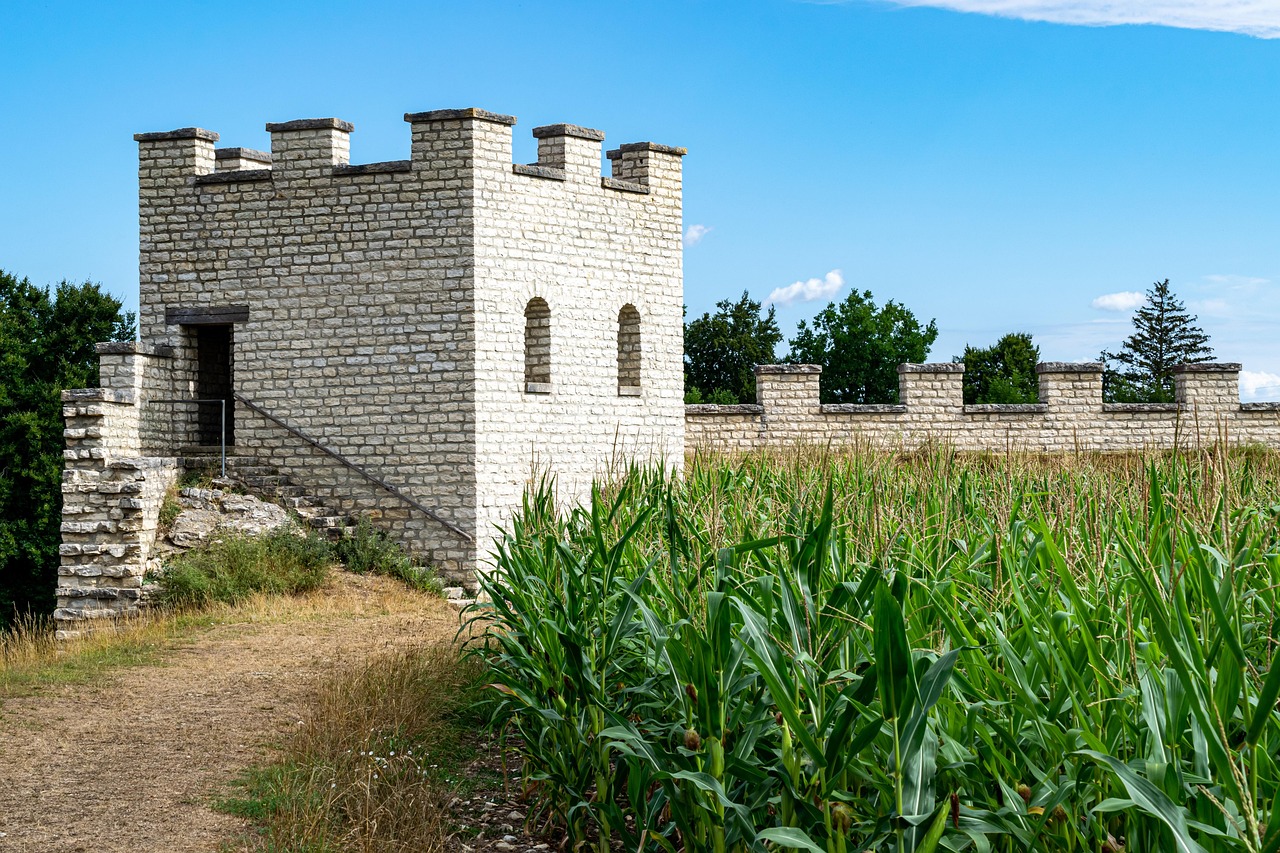 Labirinto della Masone: vista panoramica del labirinto di bambù vicino Parma.