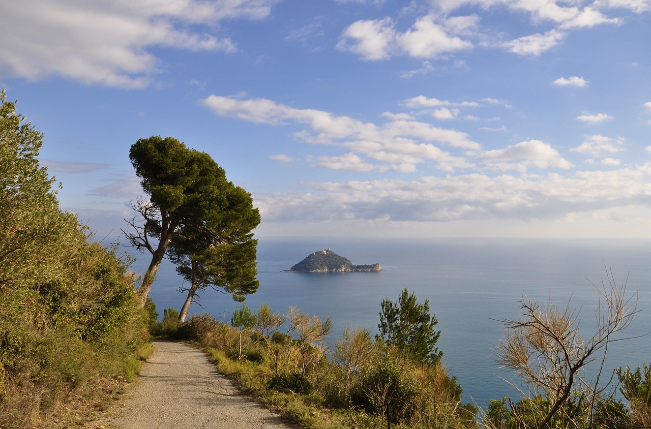 Isola toscana con spiagge di sabbia bianca e vigneti, simbolo di relax e vino rosso pregiato.